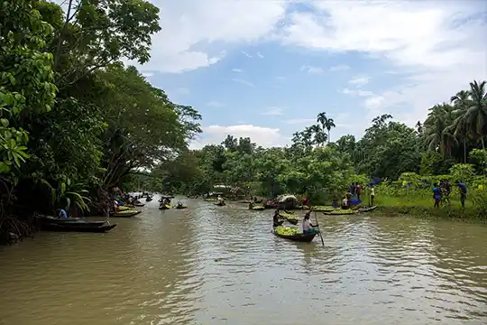 Video production in Pirojpur floating guava market