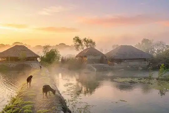 Video production in Satkhira shrimp farms
